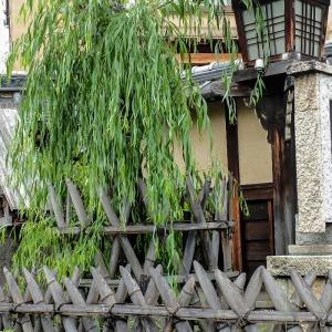 島原について